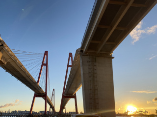 トビシマムラの風景