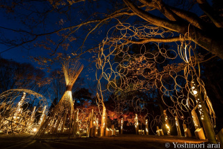 Tobishima Lights 2023　お楽しみ抽選会について